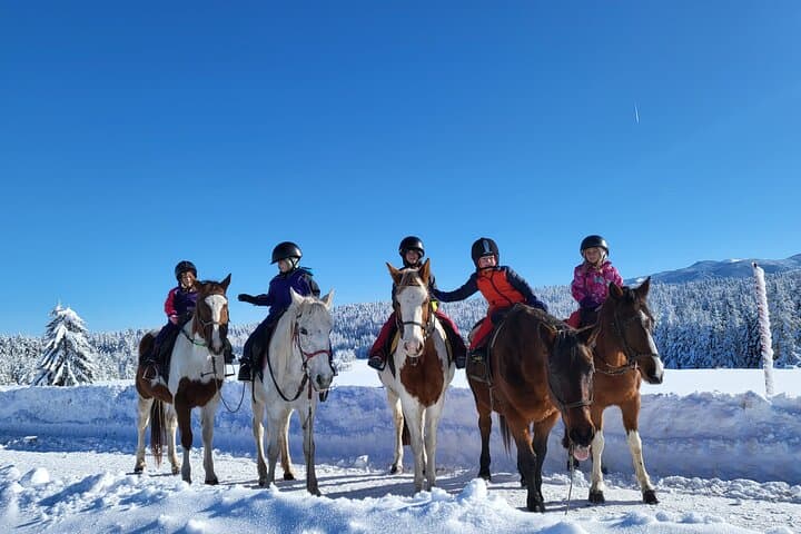 Horseback Riding in Borovets: Rila Forest Trails & Beginner-Friendly Ranch Ride