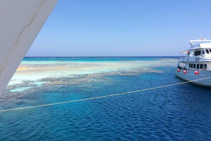 Hurghada Full-Day Private Snorkeling Trip to Giftun & Dolphin House photo 4