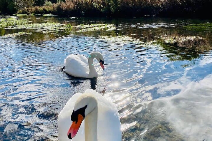 One-Day Road Trip from London to the Cotswolds: Arlington Row, Bourton-on-the-Water & Market Towns photo 6