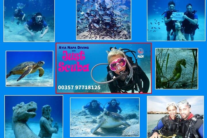 Discover Scuba Diving in Green Bay, Ayia Napa — Beginner-Friendly Dives in Cyprus photo 1