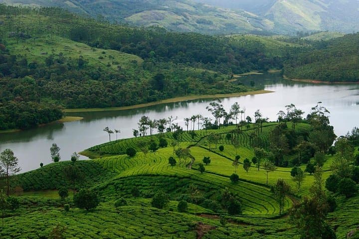 5-Day Luxury Kerala Tour: Munnar Hills, Periyar Wildlife & Alleppey Houseboat