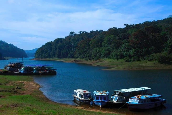 5-Day Luxury Kerala Tour: Munnar Hills, Periyar Wildlife & Alleppey Houseboat photo 2