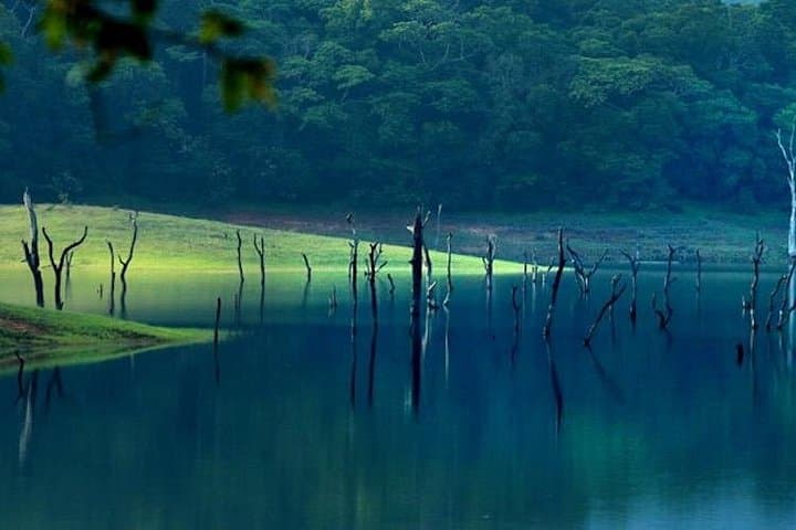 5-Day Luxury Kerala Tour: Munnar Hills, Periyar Wildlife & Alleppey Houseboat photo 3