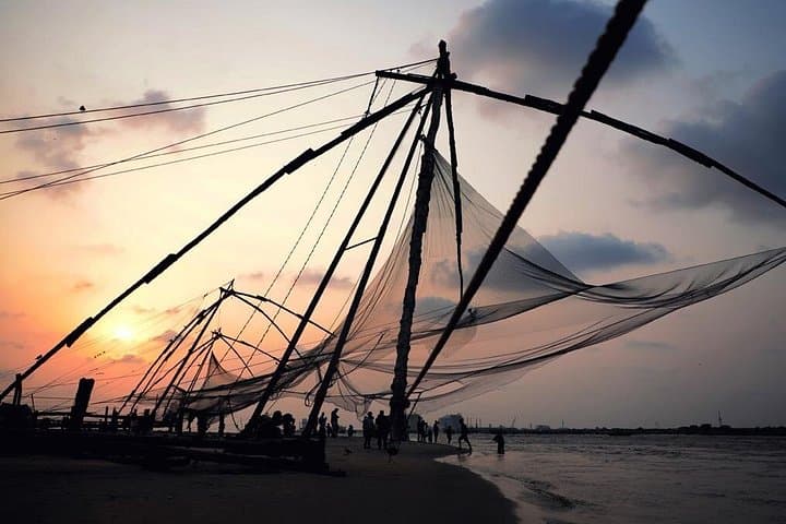 5-Day Luxury Kerala Tour: Munnar Hills, Periyar Wildlife & Alleppey Houseboat photo 5