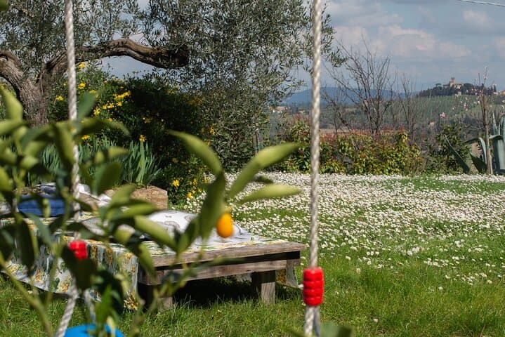 Secret Chianti Hike and Aperitivo: Montespertoli Day Walk from Florence photo 4
