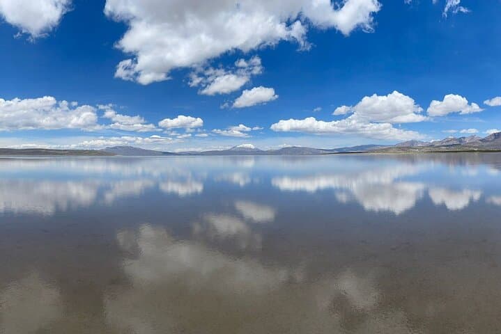 Salinas and Aguada Blanca Day Tour from Arequipa: Flamingos, Vicuñas & Volcano Views photo 4