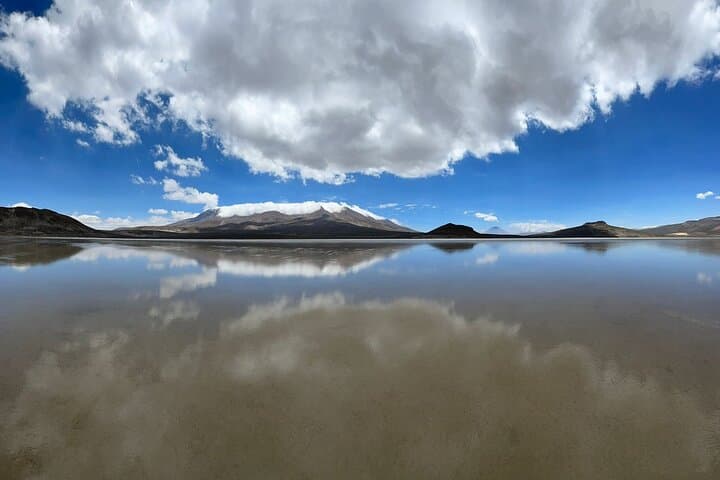 Salinas and Aguada Blanca Day Tour from Arequipa: Flamingos, Vicuñas & Volcano Views photo 5