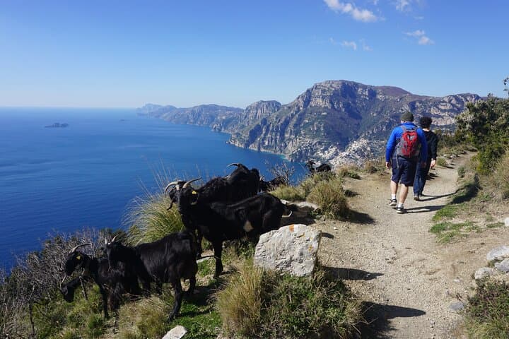 4-Day Amalfi Coast Trek: Path of the Gods from Maiori to Positano