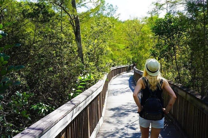 Big Cypress National Preserve Audio Tour Guide: Self-Guided Everglades Drive & Hikes photo 6