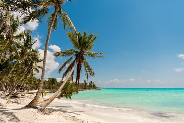 Full-Day Isla Saona Catamaran: Snorkel, Natural Pools & Dominican Buffet