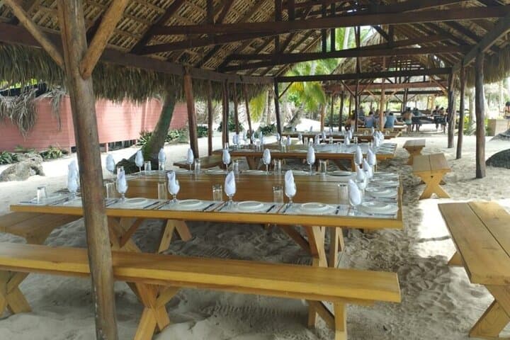Full-Day Isla Saona Catamaran: Snorkel, Natural Pools & Dominican Buffet photo 5