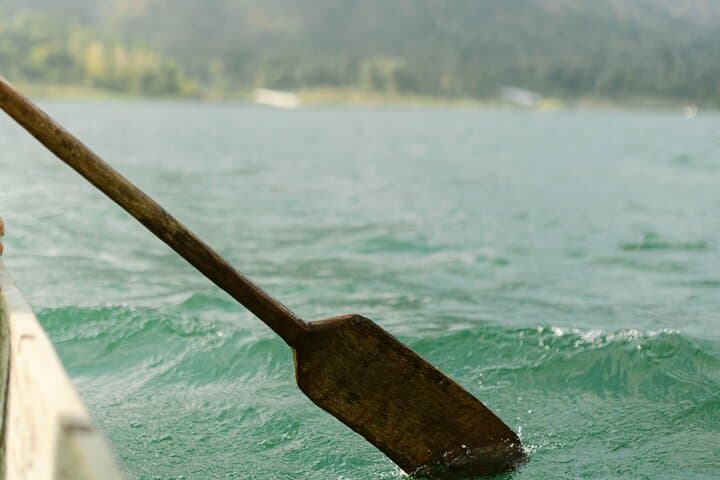 Interactive Tul Planting Tour on Lake Atitlan — Kayuko Experience in Santiago Atitlan photo 4