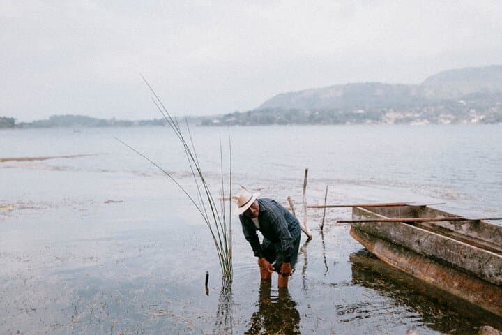 Interactive Tul Planting Tour on Lake Atitlan — Kayuko Experience in Santiago Atitlan photo 6