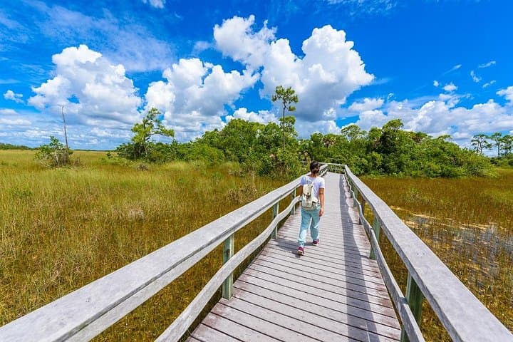 Everglades Self-Guided Audio Tour: Drive the River of Grass with Shaka Guide photo 6