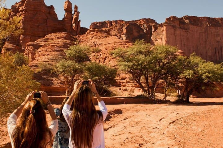 Talampaya and Valle de la Luna Day Trip from La Rioja: Ischigualasto & Talampaya Highlights photo 6