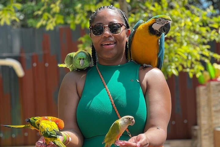 Lethe Bamboo Rafting & Exotic Bird Farm Tour — Montego Bay Day Trip