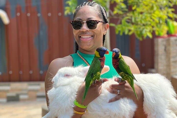 Lethe Bamboo Rafting & Exotic Bird Farm Tour — Montego Bay Day Trip photo 2