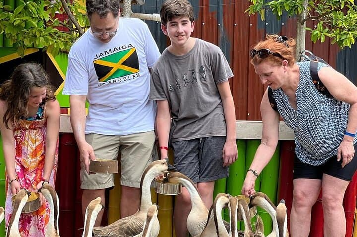 Lethe Bamboo Rafting & Exotic Bird Farm Tour — Montego Bay Day Trip photo 3