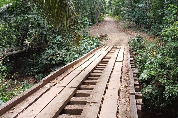 pipeline-road-hiking-soberania-national-park-panama