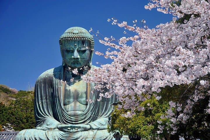 Private Kamakura and Enoshima Day Tour: Temples, Coastal Views & Local Eats