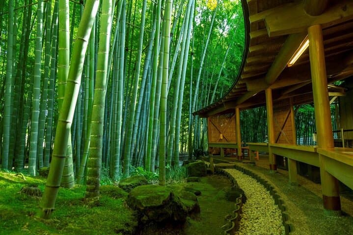 Private Kamakura and Enoshima Day Tour: Temples, Coastal Views & Local Eats photo 4