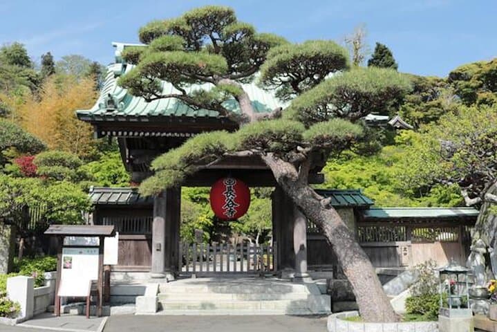 Private Kamakura and Enoshima Day Tour: Temples, Coastal Views & Local Eats photo 2