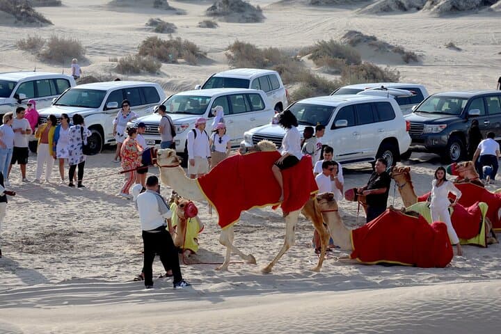 Private Half-Day Desert Safari to Khor Al Udayd (Inland Sea) from Doha photo 3