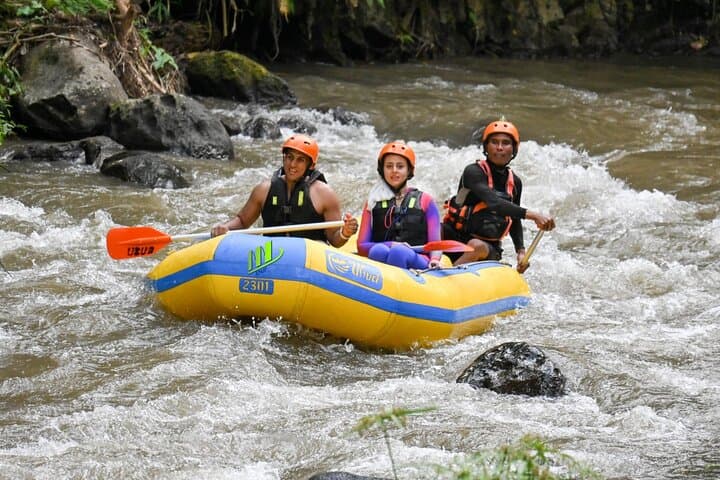 Full-Day Private Ayung River Rafting and Ubud City Tour photo 2