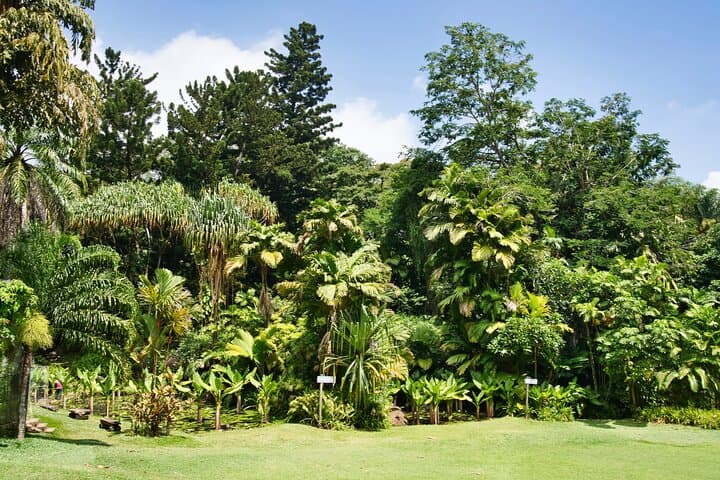 Private Full-Day Mahe Island Tour: Beaches, Peaks & Creole Culture photo 5