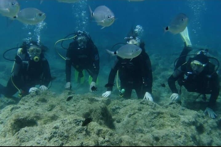 First-Time Scuba Dive at Makronissos Beach, Ayia Napa — Shallow Shore Dive for Beginners photo 2