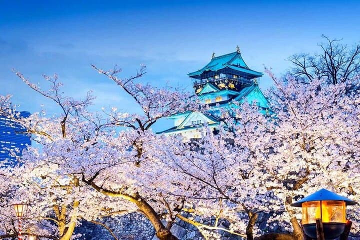 Customize Your Perfect One-Day Osaka Self-Guided Tour — Food, Castle & Skyline photo 4
