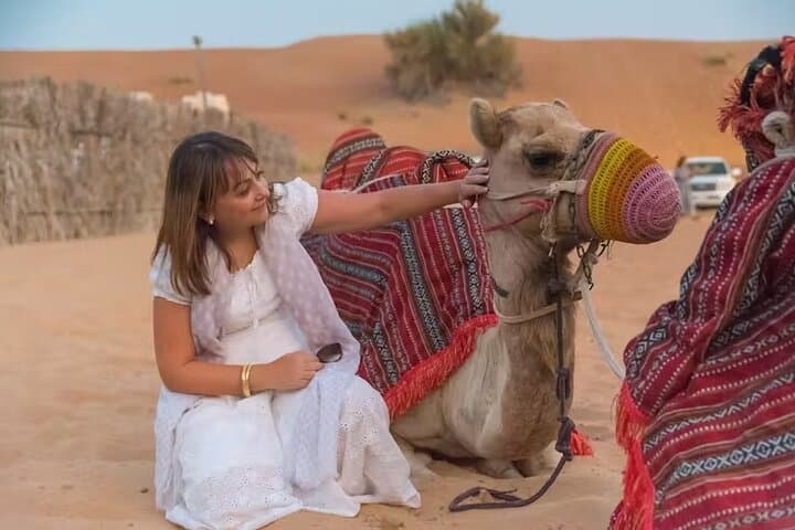 Dubai Desert Safari with BBQ Dinner and Local Driver — Evening Dune Bashing & Camp Experience
