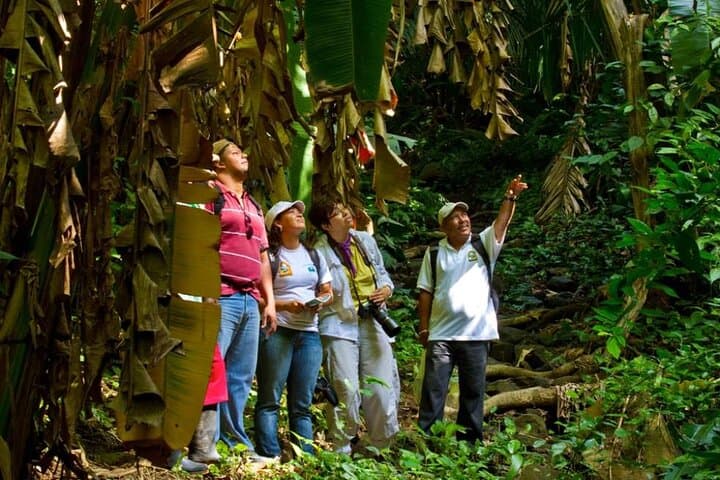 Mombacho Volcano Cloud Forest: Crater Trail and Canopy Adventure photo 4