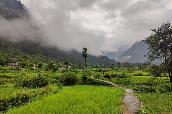 Yoga and Trekking Retreat to Chandrashila: 8-Day Himalayan Yoga Trek from Rishikesh