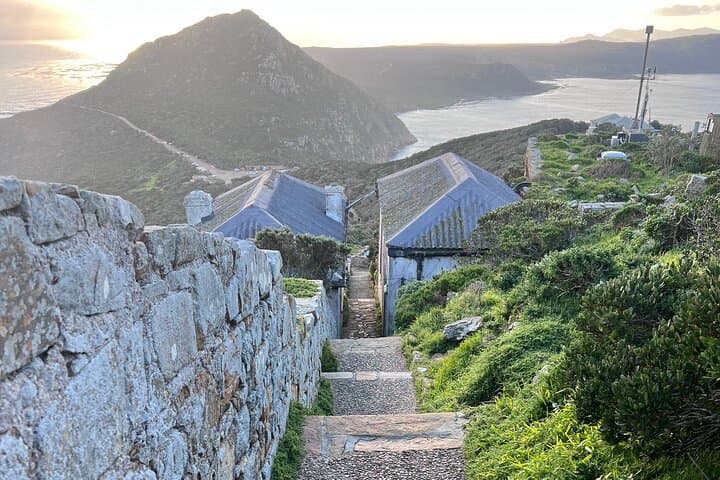 Cape Peninsula Full-Day Private Drive: Chapman's Peak, Cape Point & Boulders photo 4
