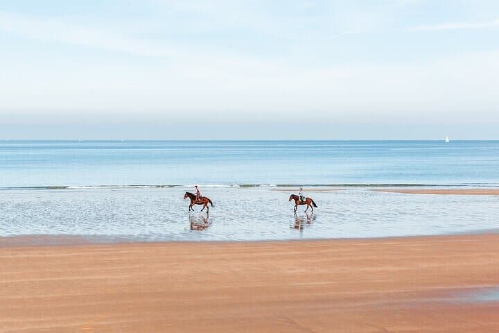 Beach Horse Riding in Sharm El-Sheikh — One-Hour Coastal Ride photo 3