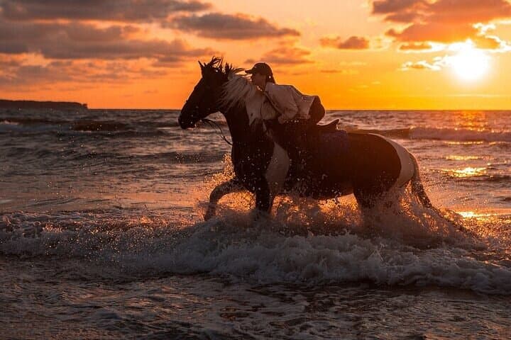 Hurghada Beach-to-Desert Horseback Ride — 2-Hour Red Sea Experience photo 5