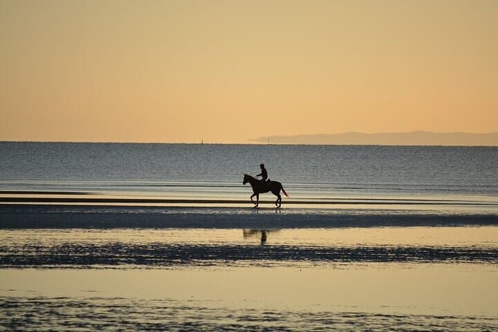 Beach Horse Riding in Sharm El-Sheikh — One-Hour Coastal Ride photo 4