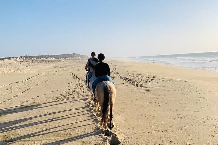 Beach Horse Riding in Sharm El-Sheikh — One-Hour Coastal Ride photo 5