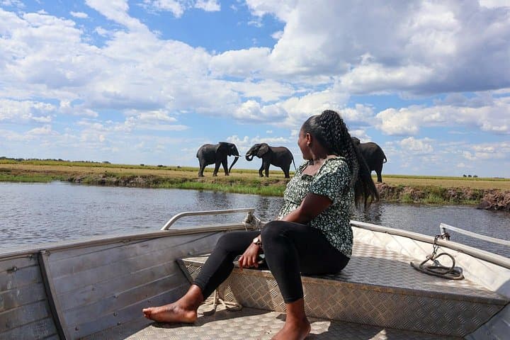 Full-Day Chobe Safari from Victoria Falls & Kasane — Boat and Jeep Game Drive