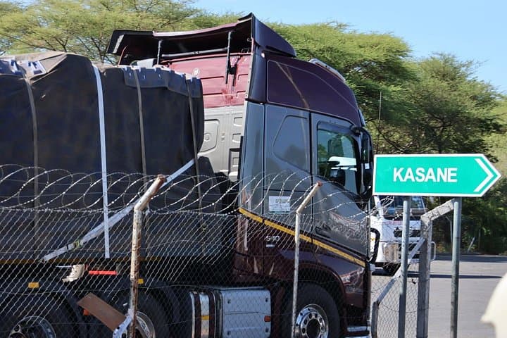 Full-Day Chobe Safari from Victoria Falls & Kasane — Boat and Jeep Game Drive photo 2