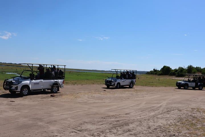 Full-Day Chobe Safari from Victoria Falls & Kasane — Boat and Jeep Game Drive photo 3