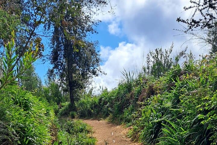 Madeira Levada Walk, Cider Tasting & Farm Lunch in Camacha photo 4