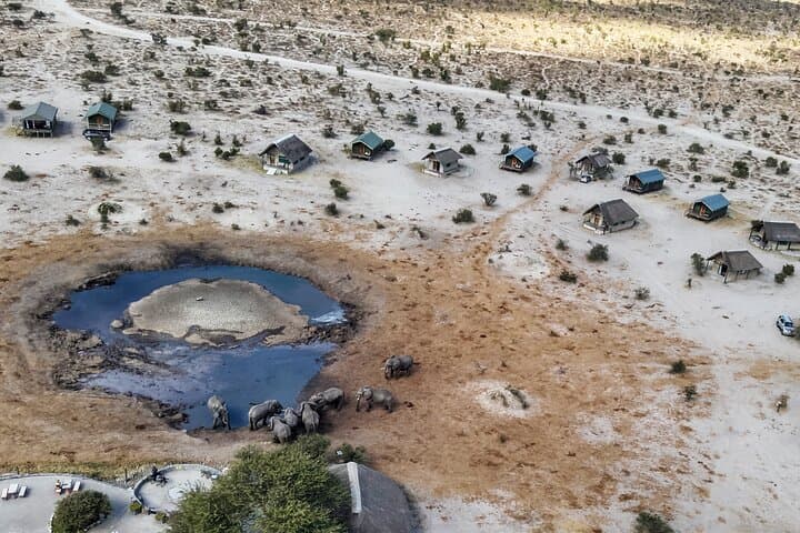 Online Drone Safari in Botswana — Remote Drone Flight Over the Okavango photo 3