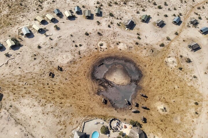 Online Drone Safari in Botswana — Remote Drone Flight Over the Okavango photo 4