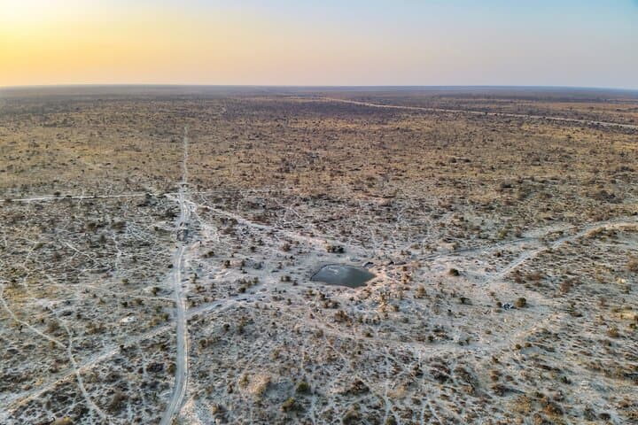 Online Drone Safari in Botswana — Remote Drone Flight Over the Okavango photo 5