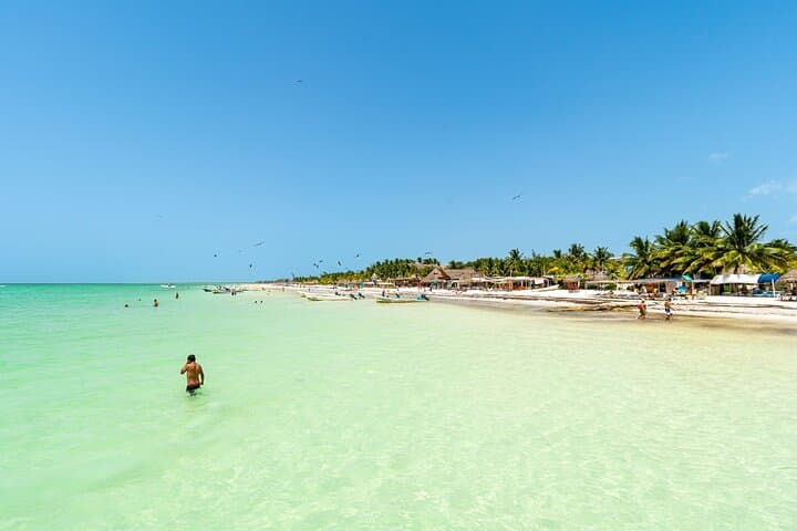 Full-Day Holbox Island Tour from Playa del Carmen — Boat Crossing, Birding & Laguna Yalahau photo 4