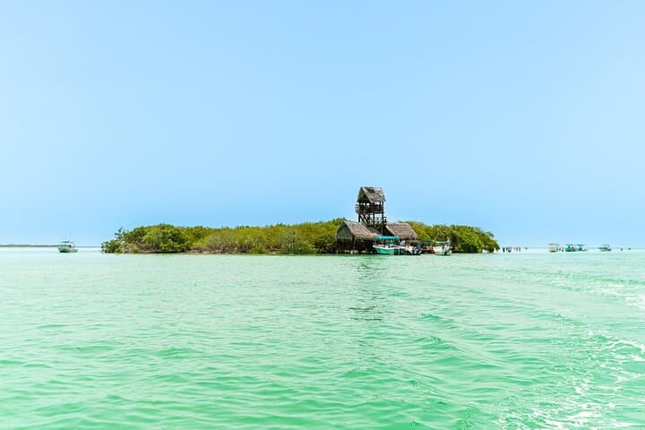 Full-Day Holbox Island Tour from Playa del Carmen — Boat Crossing, Birding & Laguna Yalahau photo 6