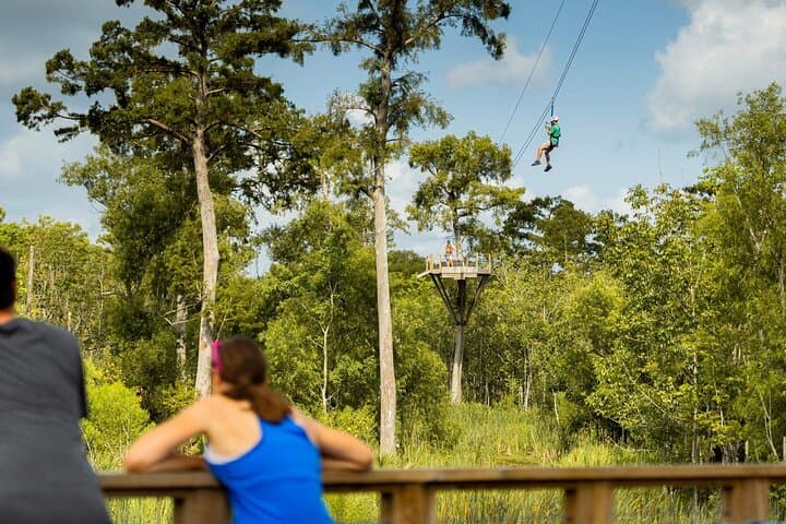 Soaring Over the Maurepas: New Orleans Zipline Swamp Tour photo 6