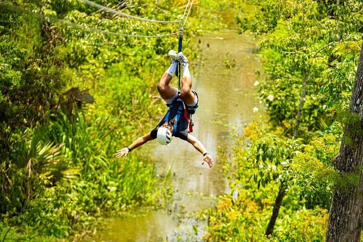 Soaring Over the Maurepas: New Orleans Zipline Swamp Tour photo 3